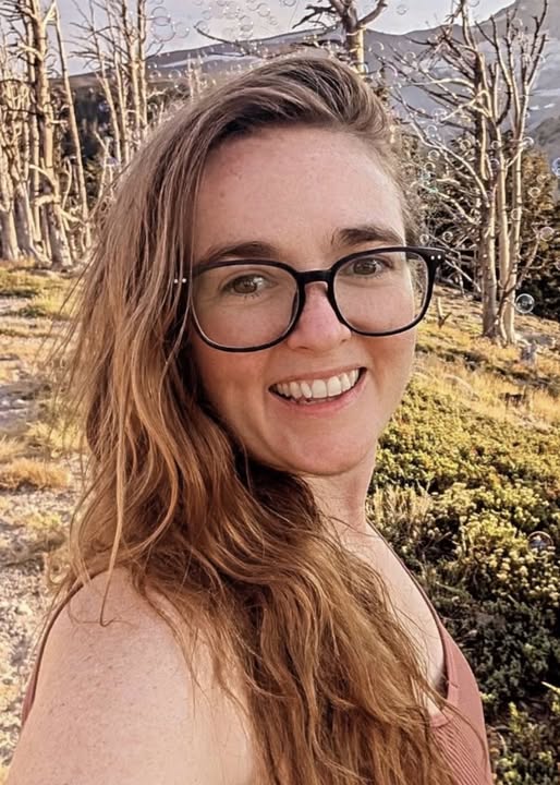 Renee Holcomb Obituary